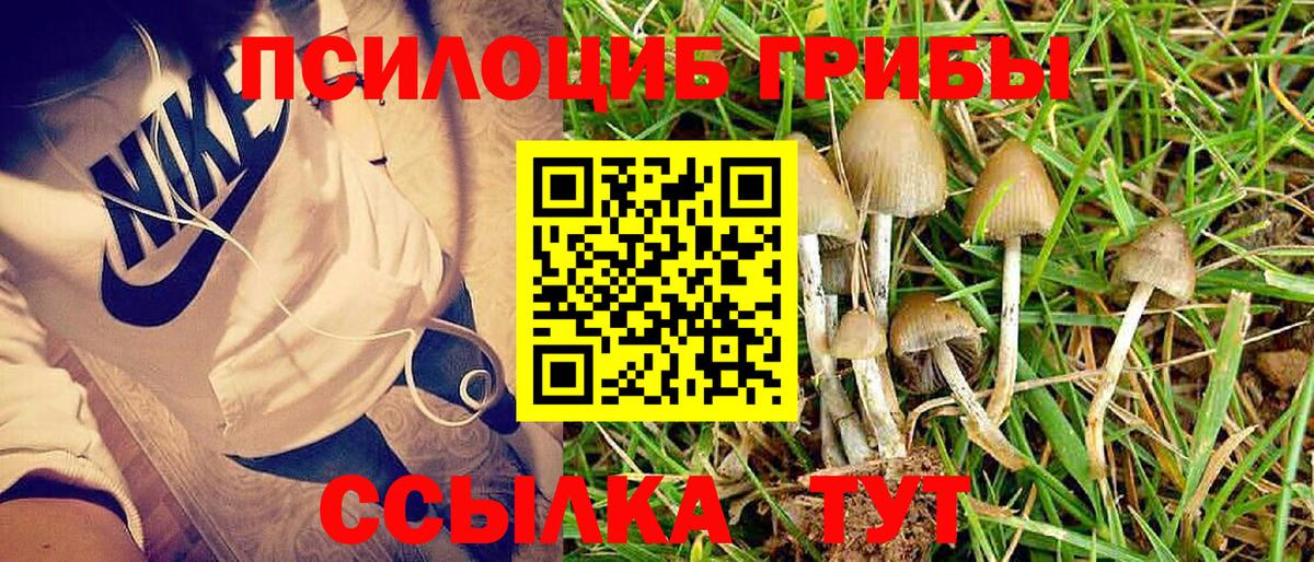 Псилоцибиновые грибы Magic Shrooms Гусь-Хрустальный
