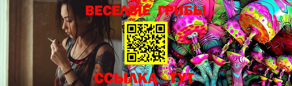 Галлюциногенные грибы Cubensis  Вход с VPN  Гусь-Хрустальный 